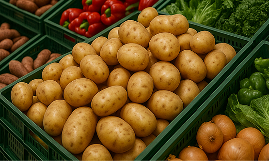 rayon pommes de terre en supermarché
